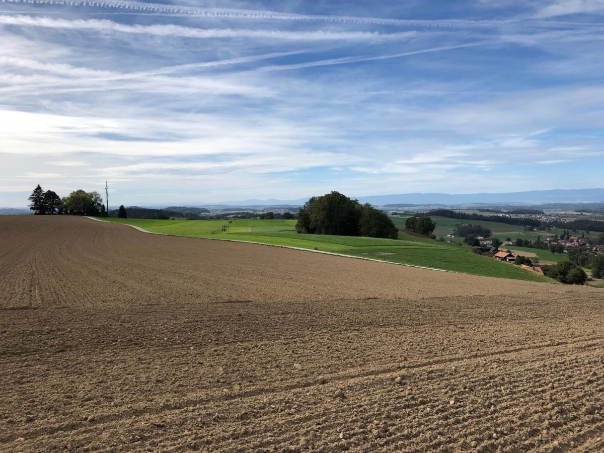 Bierwanderung 09